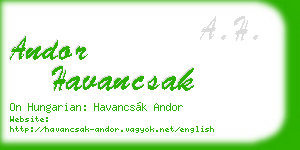 andor havancsak business card