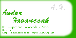 andor havancsak business card